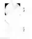Fig. 02 - SYSTEM AND METHOD FOR EXTENDING, THICKENING AND ENHANCING NATURAL OR ARTIFICIAL HAIR