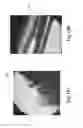 Fig. 13 - SYSTEM AND METHOD FOR EXTENDING, THICKENING AND ENHANCING NATURAL OR ARTIFICIAL HAIR