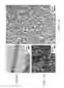 Fig. 12 - NANOROD MATERIALS AND METHODS OF MAKING AND USING SAME