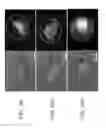 Fig. 17 - NANOROD MATERIALS AND METHODS OF MAKING AND USING SAME