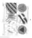 Fig. 04 - Liposomes Containing Oligopeptide Fragments of Myelin Basic Protein, a Pharmaceutical Composition and a Method for Treatment of Multiple Sclerosis