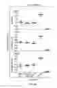 Fig. 06 - Liposomes Containing Oligopeptide Fragments of Myelin Basic Protein, a Pharmaceutical Composition and a Method for Treatment of Multiple Sclerosis