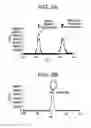 Fig. 03 - Yeast cell wall particles for receptor-targeted nanoparticle delivery