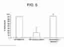 Fig. 06 - Yeast cell wall particles for receptor-targeted nanoparticle delivery