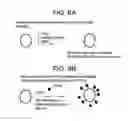 Fig. 07 - Yeast cell wall particles for receptor-targeted nanoparticle delivery