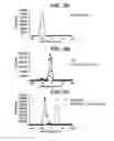 Fig. 10 - Yeast cell wall particles for receptor-targeted nanoparticle delivery