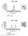 Fig. 13 - Yeast cell wall particles for receptor-targeted nanoparticle delivery