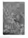 Fig. 04 - Oxidized cellulose microspheres