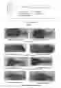 Fig. 02 - Application of andrographolide in the preparation of a pharmaceutical for treatment of inflammatory bowel disease, andrographolide enteric targeting micropellet, and method for preparation thereof