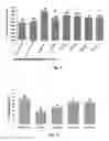 Fig. 04 - Application of andrographolide in the preparation of a pharmaceutical for treatment of inflammatory bowel disease, andrographolide enteric targeting micropellet, and method for preparation thereof