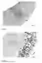 Fig. 05 - THE SYNTHESIS OF CORE-SHELL METAL-SEMICONDUCTOR NANOMATERIALS