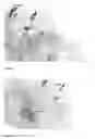 Fig. 07 - THE SYNTHESIS OF CORE-SHELL METAL-SEMICONDUCTOR NANOMATERIALS