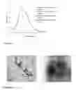 Fig. 10 - THE SYNTHESIS OF CORE-SHELL METAL-SEMICONDUCTOR NANOMATERIALS
