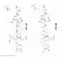 Fig. 10 - Protease assisted native-protein delivery approach (PANDA)
