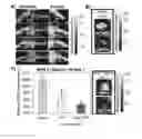Fig. 05 - Reactive oxygen species (ROS)-responsive compositions and methods thereof