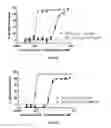 Fig. 07 - Method of selectively inhibiting Ras-mediated tumor growth in humans