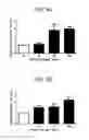 Fig. 04 - Method of treatment for enhancing exercise performance