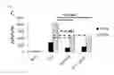 Fig. 06 - Immunosuppressive compounds and therapeutics