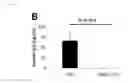 Fig. 19 - Immunosuppressive compounds and therapeutics