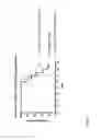 Fig. 02 - Selective AT2 receptor agonists for use in treatment of cachexia