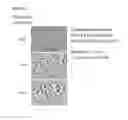 Fig. 09 - ANTIMICROBIAL COMPOSITIONS AND METHODS OF USE THEREOF
