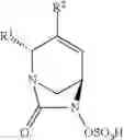 Fig. 08 - β-lactamase inhibitor compounds