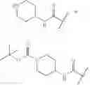 Fig. 10 - β-lactamase inhibitor compounds