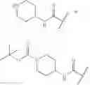 Fig. 12 - β-lactamase inhibitor compounds