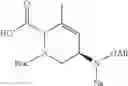 Fig. 122 - β-lactamase inhibitor compounds