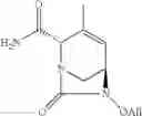 Fig. 126 - β-lactamase inhibitor compounds