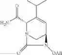 Fig. 138 - β-lactamase inhibitor compounds