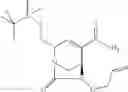 Fig. 150 - β-lactamase inhibitor compounds