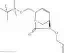 Fig. 173 - β-lactamase inhibitor compounds