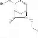 Fig. 174 - β-lactamase inhibitor compounds