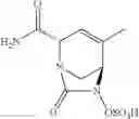 Fig. 18 - β-lactamase inhibitor compounds