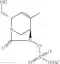 Fig. 190 - β-lactamase inhibitor compounds