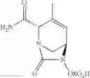 Fig. 21 - β-lactamase inhibitor compounds