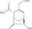Fig. 212 - β-lactamase inhibitor compounds