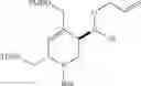 Fig. 219 - β-lactamase inhibitor compounds