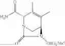 Fig. 231 - β-lactamase inhibitor compounds