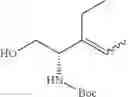 Fig. 254 - β-lactamase inhibitor compounds