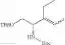 Fig. 255 - β-lactamase inhibitor compounds