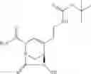 Fig. 281 - β-lactamase inhibitor compounds