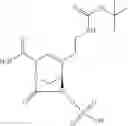 Fig. 282 - β-lactamase inhibitor compounds