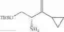 Fig. 288 - β-lactamase inhibitor compounds