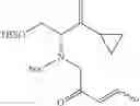 Fig. 290 - β-lactamase inhibitor compounds