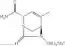 Fig. 30 - β-lactamase inhibitor compounds