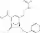 Fig. 302 - β-lactamase inhibitor compounds