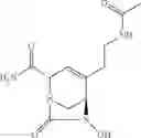 Fig. 303 - β-lactamase inhibitor compounds