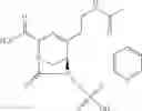 Fig. 304 - β-lactamase inhibitor compounds